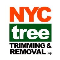 NYC Tree Trimming & Removal Corp image 4